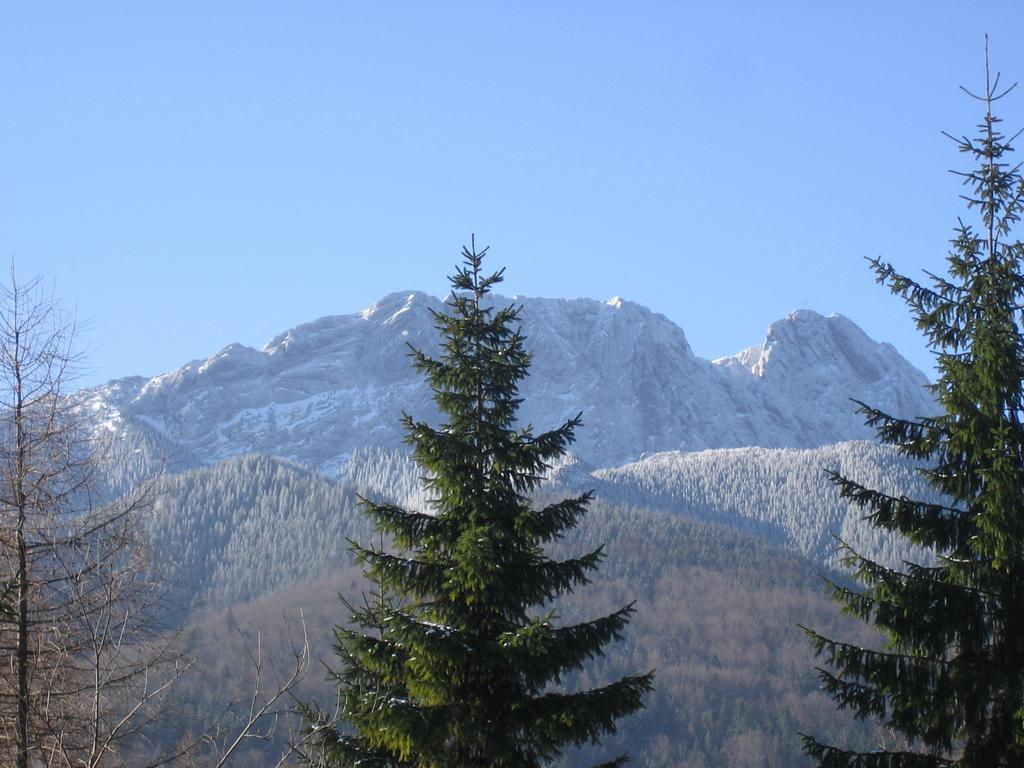 Ozwa Apartment Zakopane